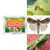 Insect Lures For Fall Armyworm (Spodoptera Frugiperda)(Pack-Pack of 10)